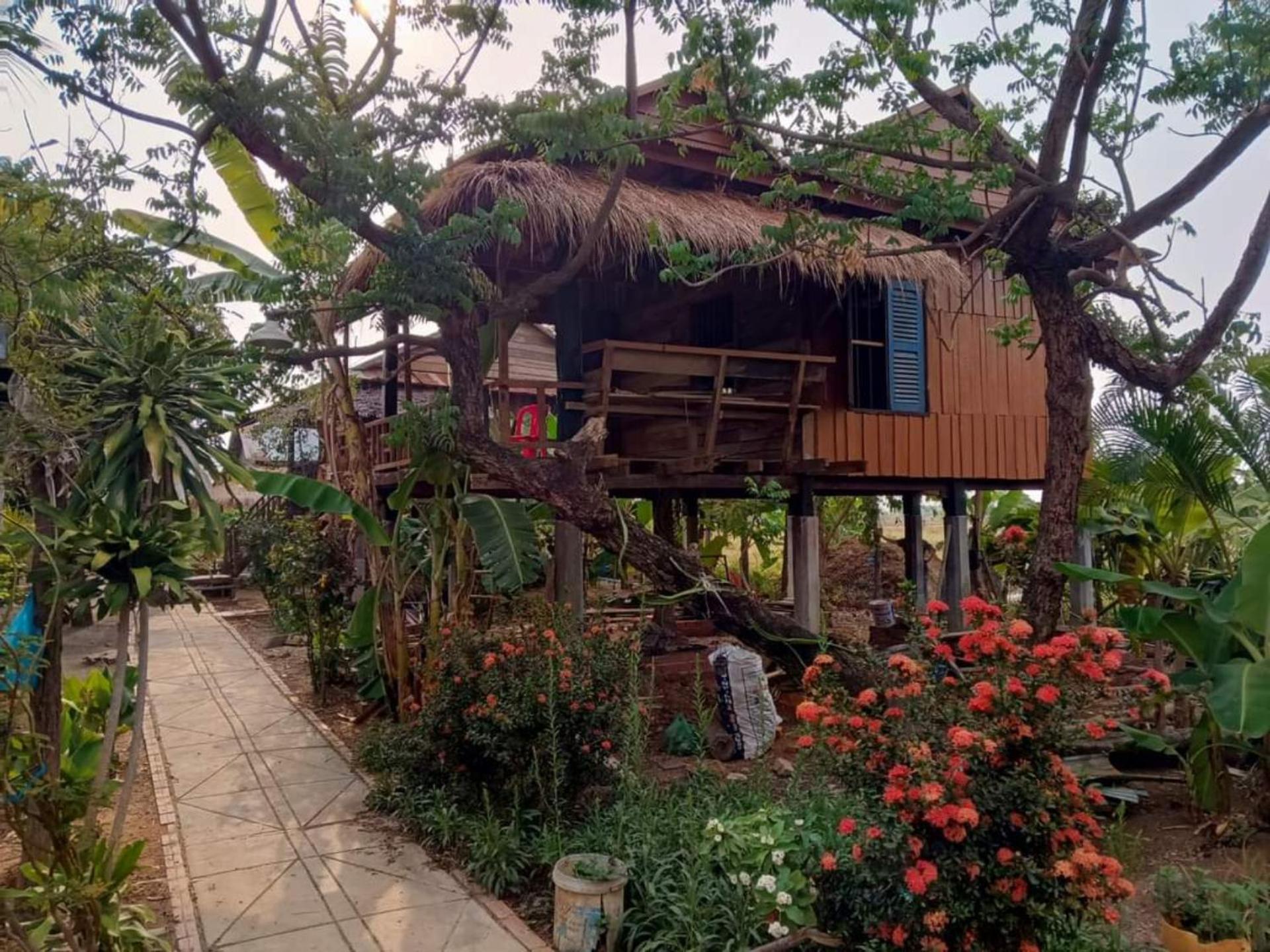 Family Batcave Homestay Battambang Exterior foto